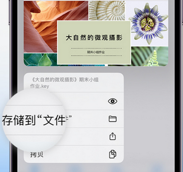 林西apple维修中心分享iPhone文件应用中存储和找到下载文件