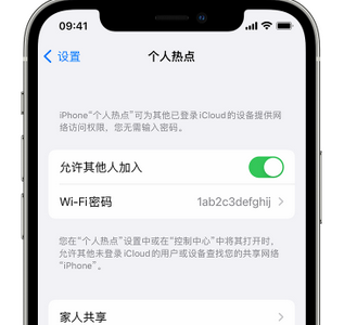 林西apple服务站点分享iPhone上个人热点丢失了怎么办