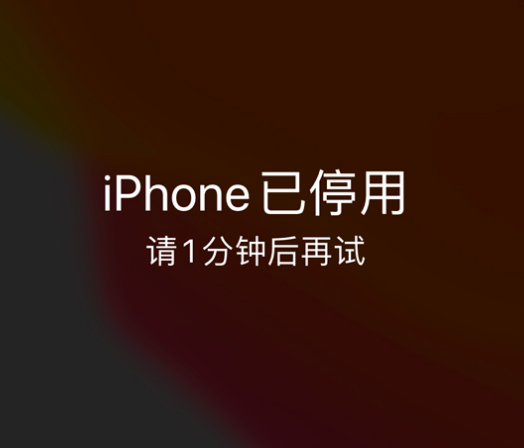 林西苹果手机维修分享:iPhone 显示“不可用”或“已停用”怎么办？还能保留数据吗？ 