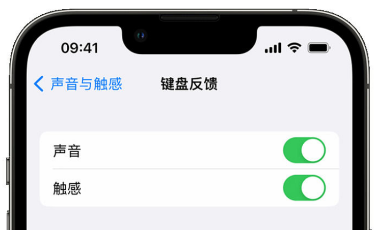 林西苹果手机维修分享iPhone 14触感键盘使用方法 