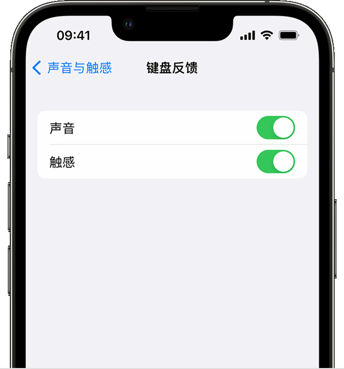 林西苹果14维修店分享如何在 iPhone 14 机型中使用触感键盘 