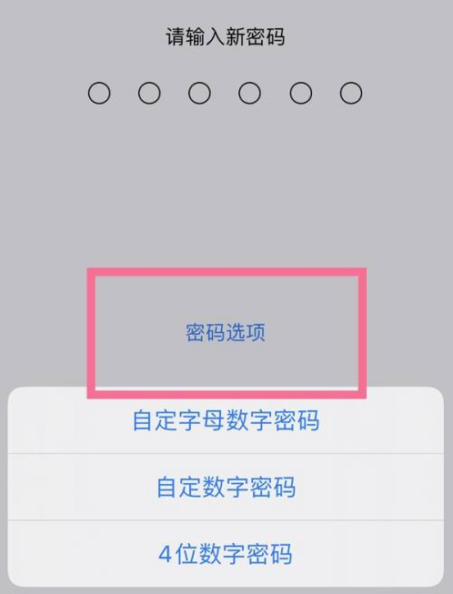 林西苹果14维修分享iPhone 14plus设置密码的方法 