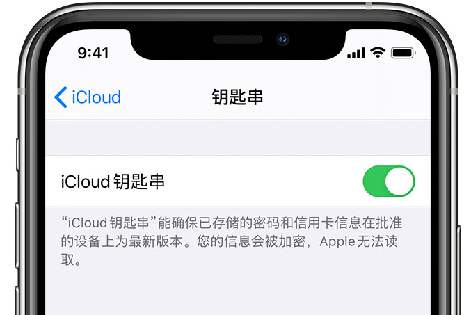 林西苹果手机维修分享在 iPhone 上开启 iCloud 钥匙串之后会储存哪些信息 