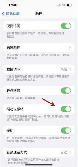 林西苹果手机维修分享iPhone手机如何设置摇一摇删除文字 