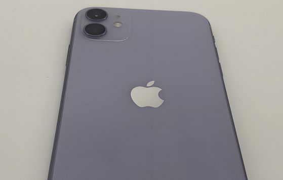 林西苹果11系统维修分享iPhone11手机系统崩溃无法开机如何解决 